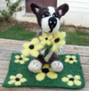 felted boston terrier